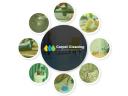 Carpet Cleaning South Perth logo